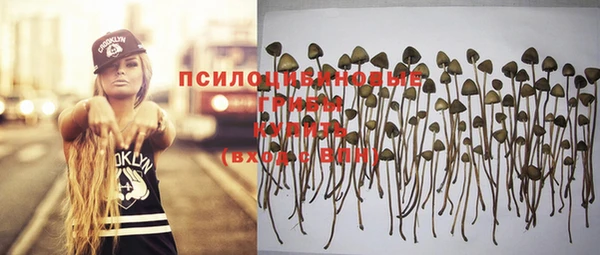 соль курить ск Верея